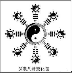 通八卦,探寻宇宙间无尽的智慧与力量